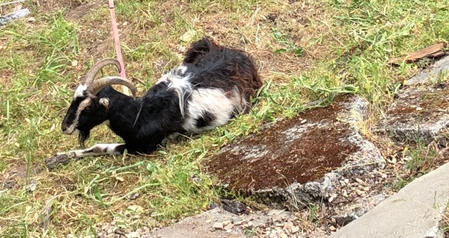 44289725-DD2A-4F81-8B6F-965573B7C513_1_201_a