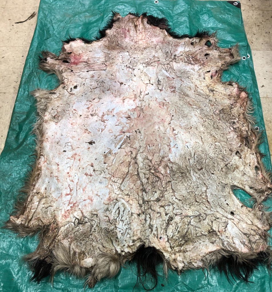 Zen 2.0 | In Pursuit of Medieval Excellence